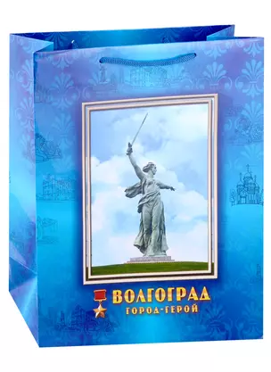 Пакет Волгоград бум.большой цв.синий 260х315мм — 2955346 — 1