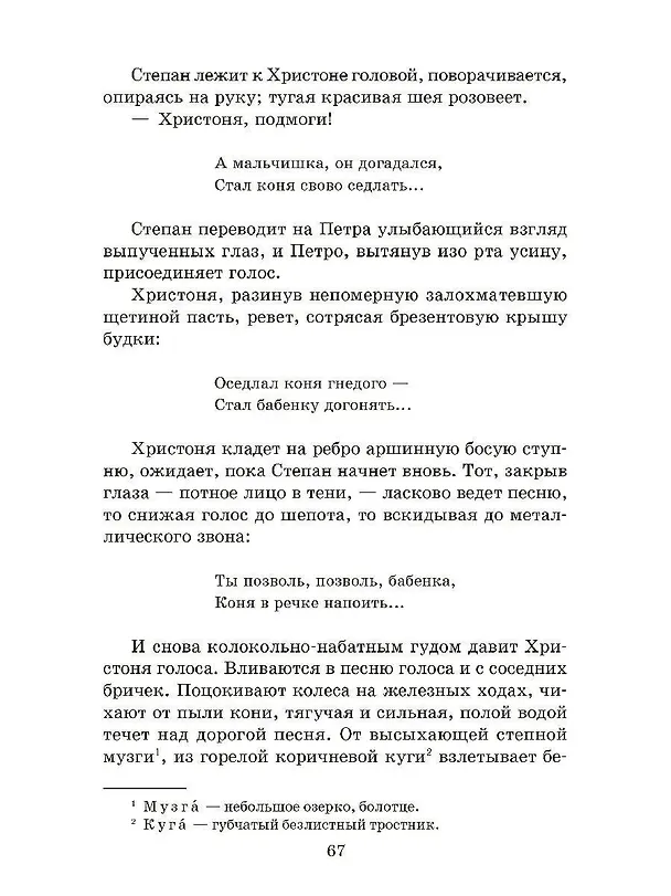 Книга Тихий Дон. Книга 1 (Михаил Шолохов) — 6