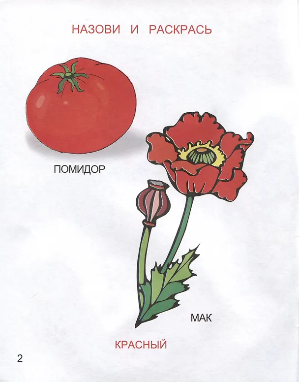 Книга Какие цвета я знаю () — 3