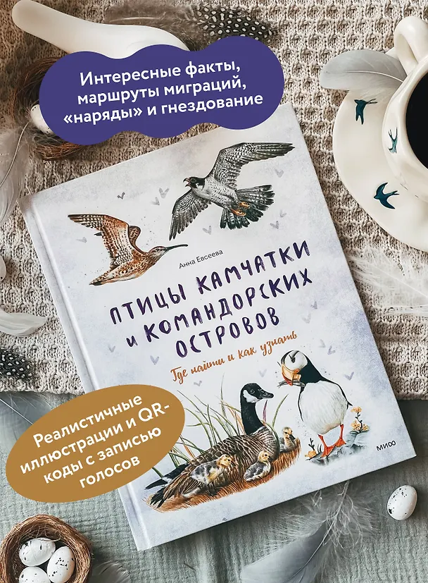 Книга Птицы Камчатки и Командорских островов. Где найти и как узнать (Анна Евсеева) — 6