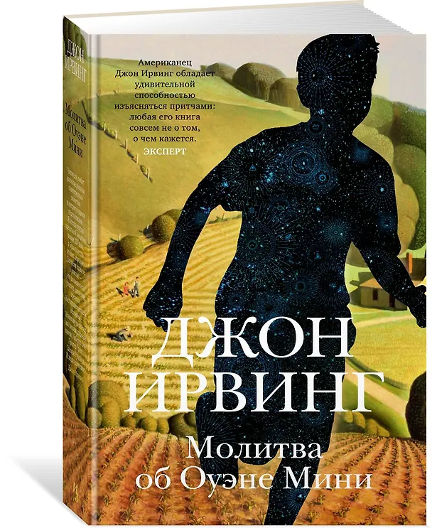 Книга Молитва об Оуэне Мини (Джон Ирвинг) — 2
