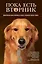 Пока есть Вторник. Удивительная связь человека и собаки, способная творить чудеса — 2316986 — 1
