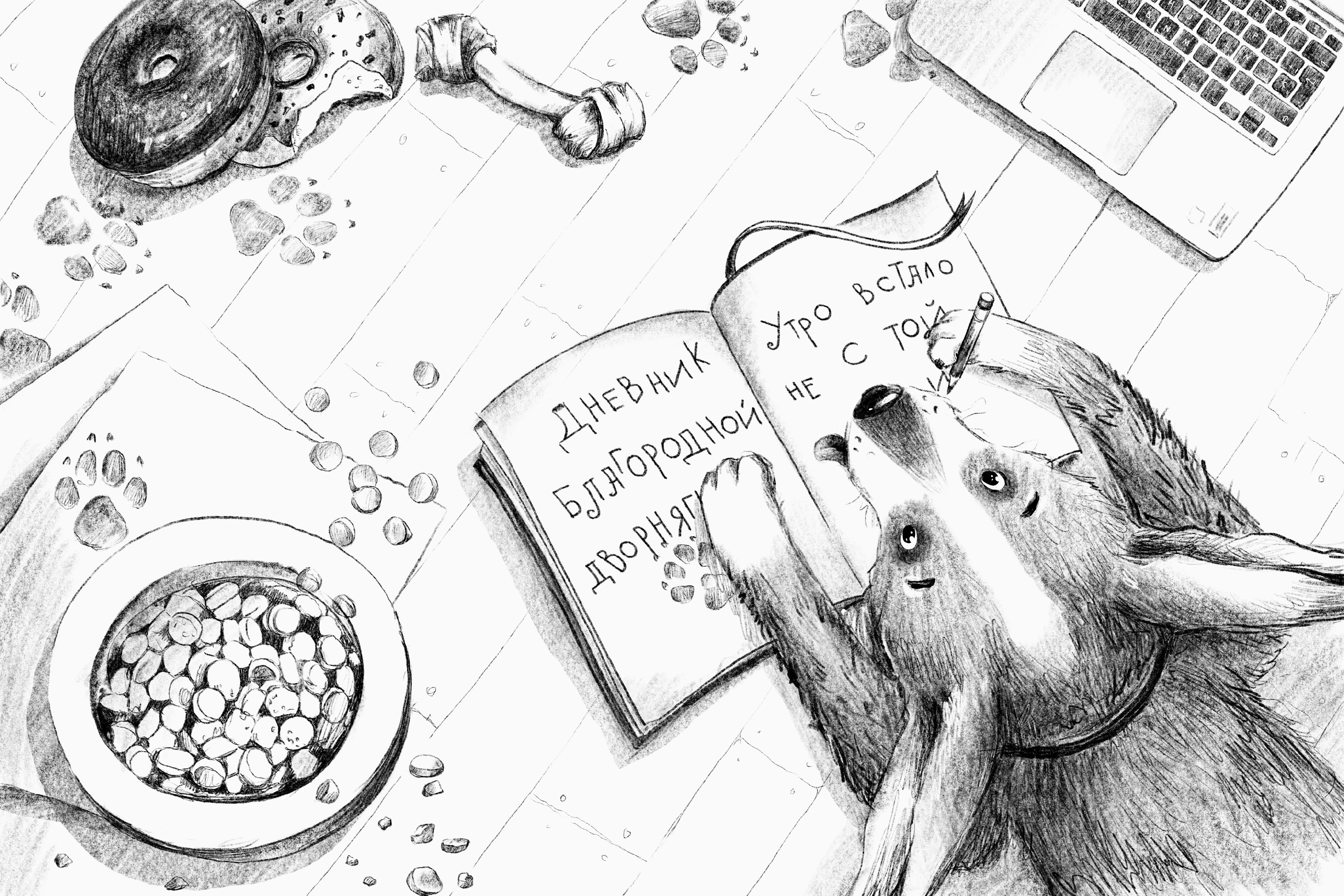 Изображение бумажной книги