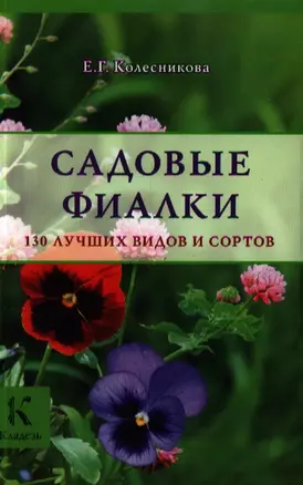 Садовые фиалки — 2351873 — 1