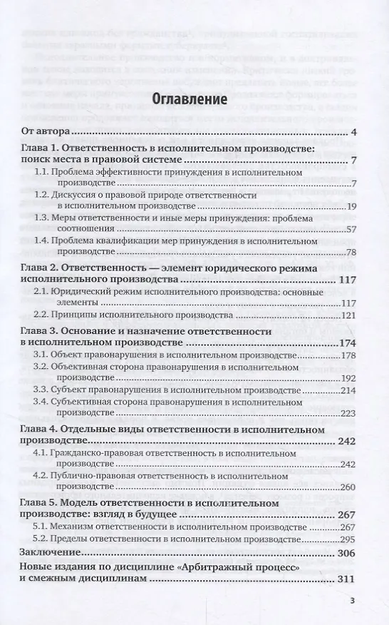 Книга Ответственность в механизме исполнительного производства () — 2