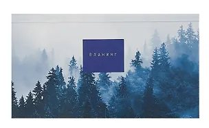 Планинг недат. 64л "Тайга" карманный, 7БЦ, мат.лам, выб.лак, офсет 2994867