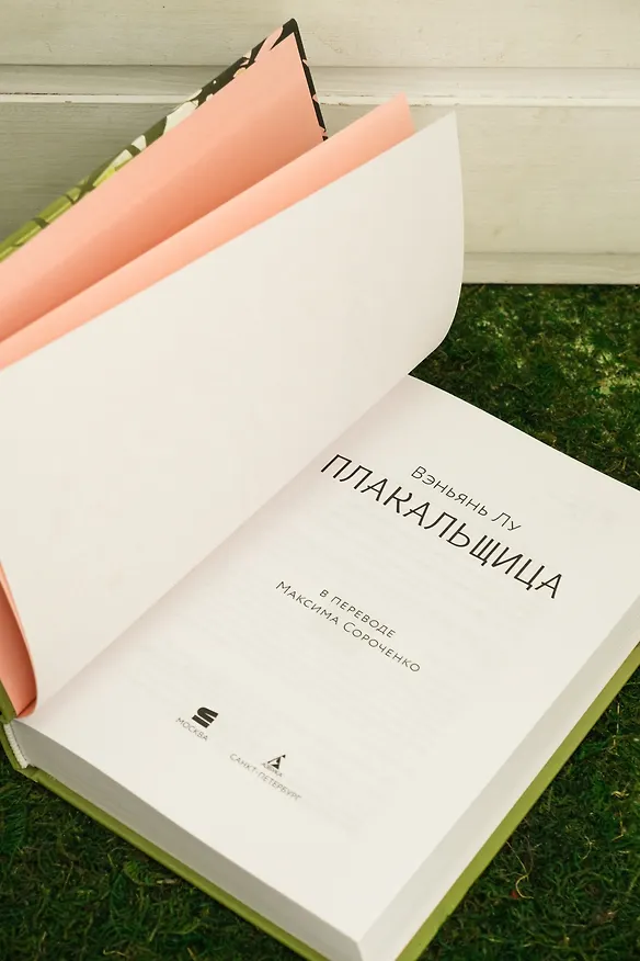 Книга Плакальщица (Вэньянь Лу) — 11
