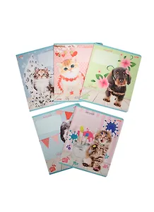 Тетрадь в клетку Hatber, "Очаровашки", 18 листов, в ассортименте