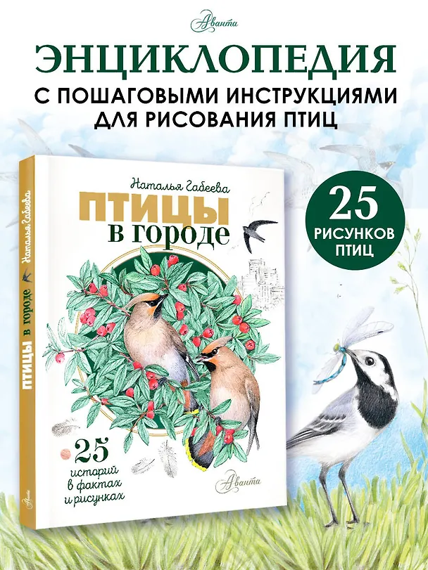 Книга Птицы в городе. 25 историй в фактах и рисунках (Наталья Габеева) — 5