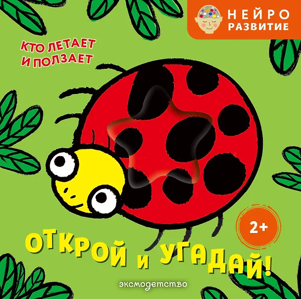 Книга Открой и угадай! Кто летает и ползает () — 1