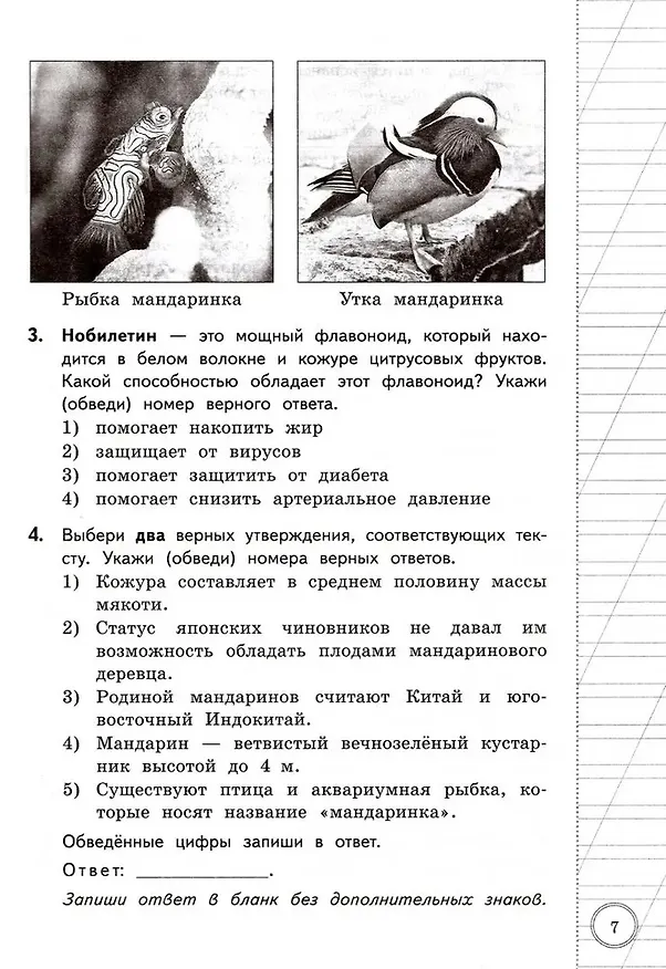 Книга Читательская грамотность. 4 класс. Типовые задания. 10 вариантов заданий. Подробные критерии оценивания. Бланк тестирования. Ответы (Елена Трофимова, Елена Языканова) — 4