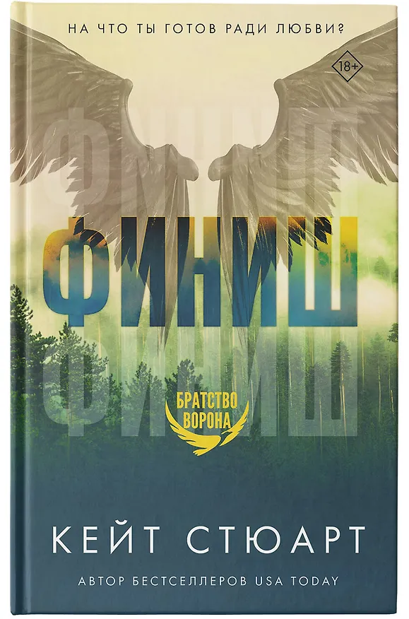 Книга Финиш (Кейт Стюарт) — 5
