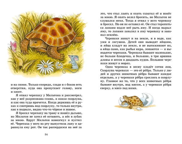 Книга Рассказы и сказки (Лев Толстой) — 15
