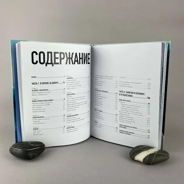 Книга Найти свою волну. Жизнь, люди, путешествия, серфинг (Сева Шульгин) — 9