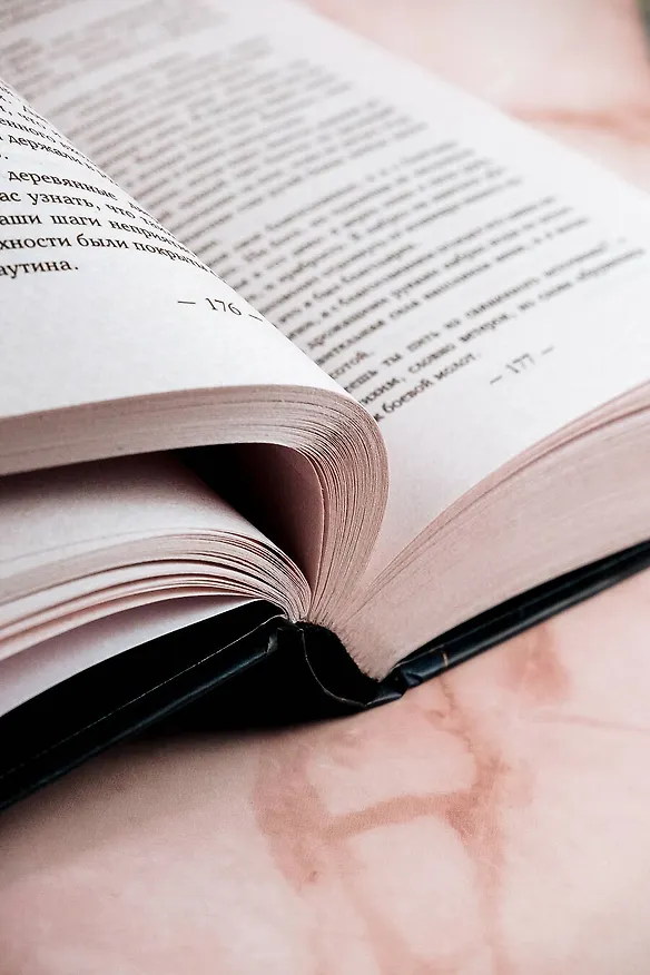 Книга Сталь и камень (Сильвана Дж. Санчес) — 10