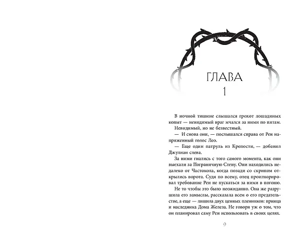 Книга Дом некромантов (#2) (Ники Пау Прето) — 9