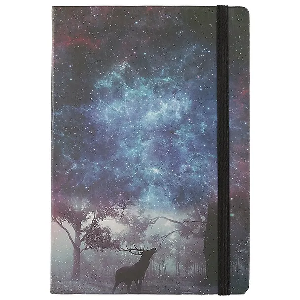 Книга для записей «Galaxy», 96 листов, А5 245272 — 1