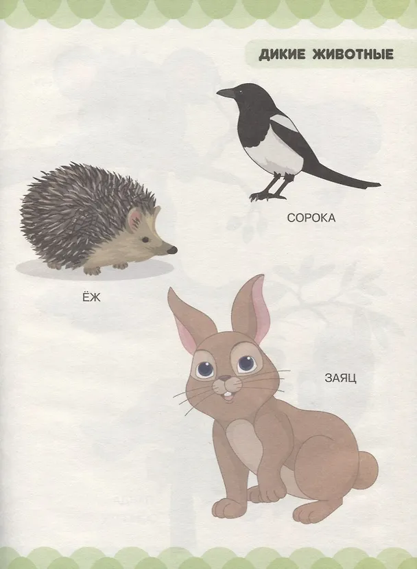 Книга Все о животных. Дикие и домашние животные (Людмила Доманская) — 4