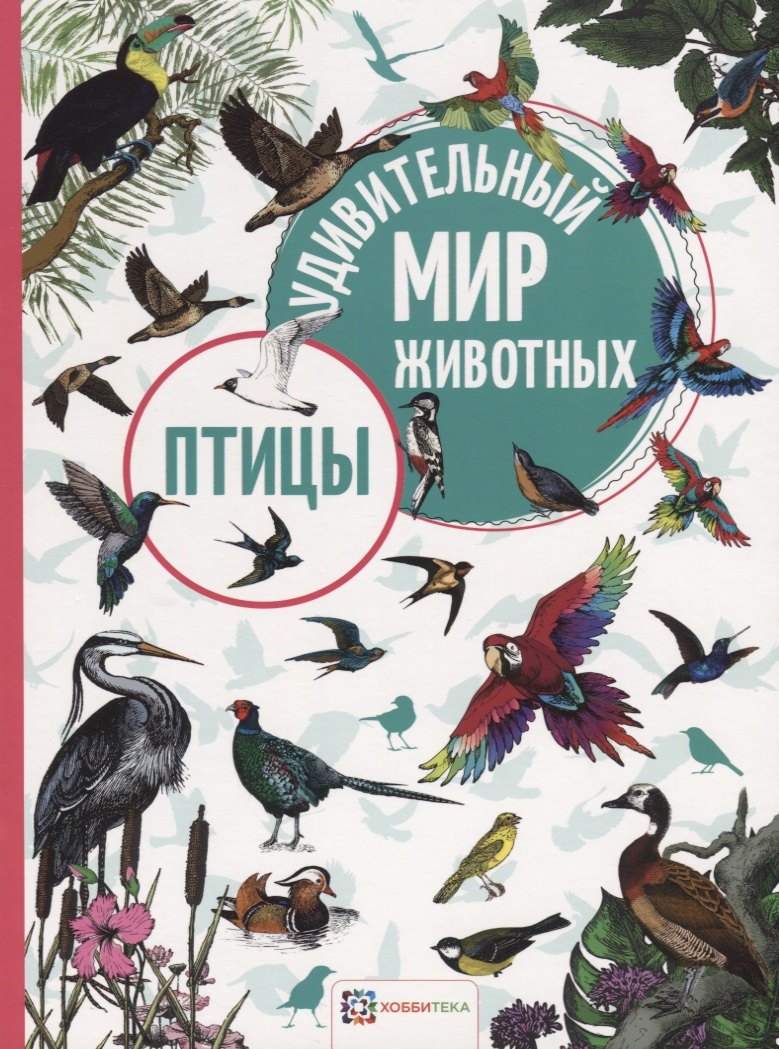 

Птицы