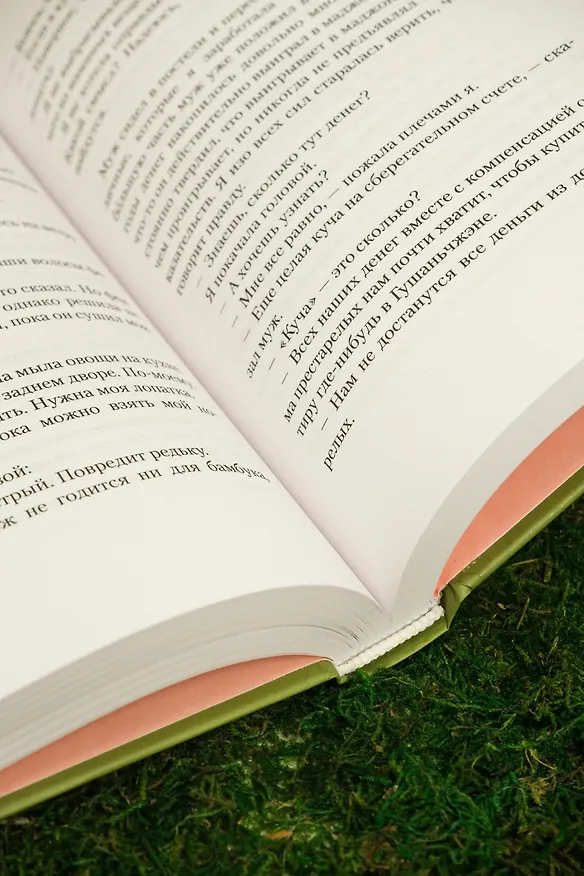 Книга Плакальщица (Вэньянь Лу) — 13