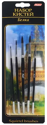 Кисти  5 шт, белка 235151