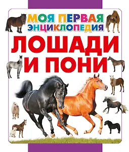 Лошади и пони