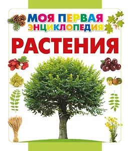 Растения