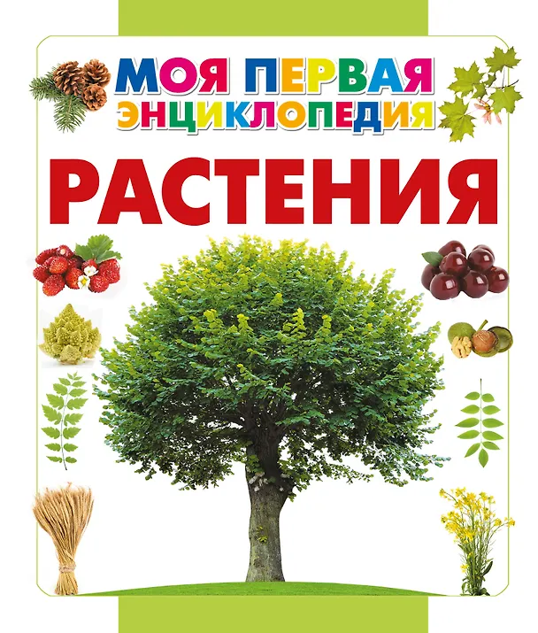 Книга Растения (Анна Спектор) — 1