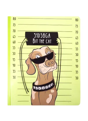 Тетрадь в линейку Феникс+, "Пёс", 40 листов 257058