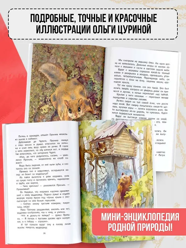 Книга Жеребенок (Юрий Коваль) — 7