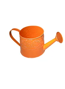 Лейка оцинкованная Цветы 4 вида (11,5х13,5) (139728)