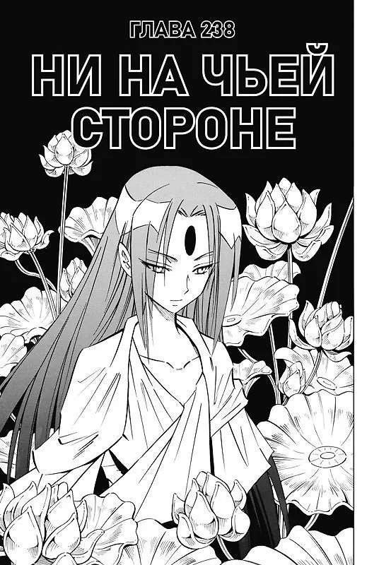 Король шаманов. Том 14 (Shaman King). Манга 3093211 — 4
