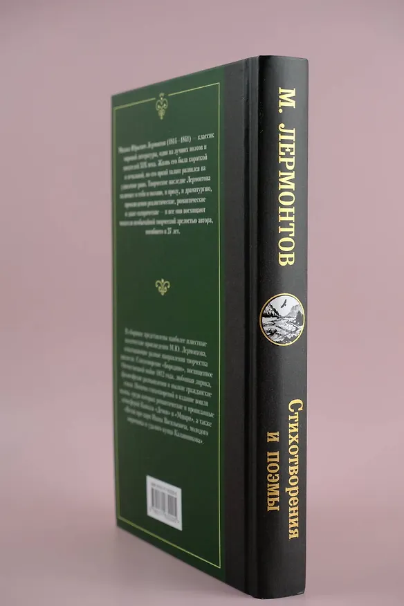 Книга Стихотворения и поэмы (Михаил Лермонтов) — 8