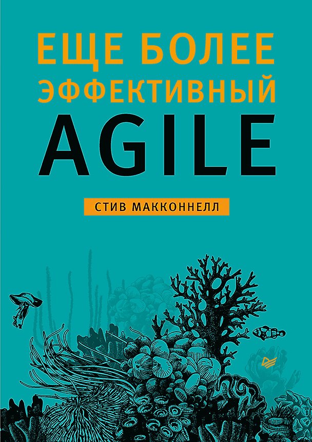Книга Еще более эффективный Agile (Стив Макконнелл) — 1