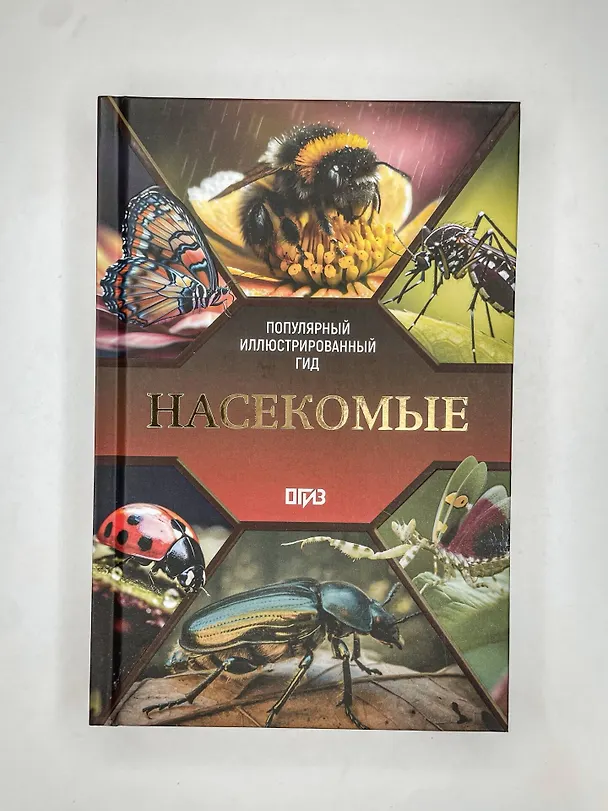 Книга Насекомые. Иллюстрированный гид (Анна Спектор) — 9