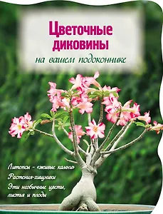 Цветочные диковины на вашем подоконнике