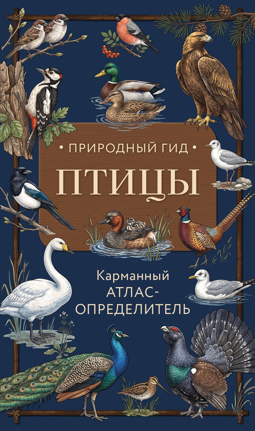 Вереницын Николай Птицы. Карманный атлас-определитель