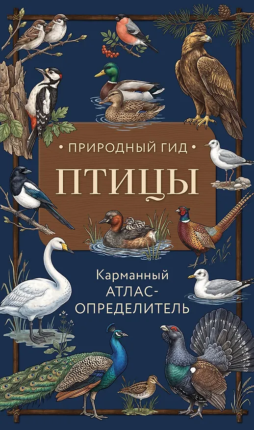 Книга Птицы. Карманный атлас-определитель (Николай Вереницын) — 1