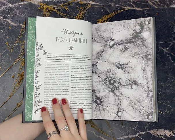 Книга Ведьма на кухне. Волшебные рецепты для здоровья, энергии и красоты (Лисанна Уолланс) — 8