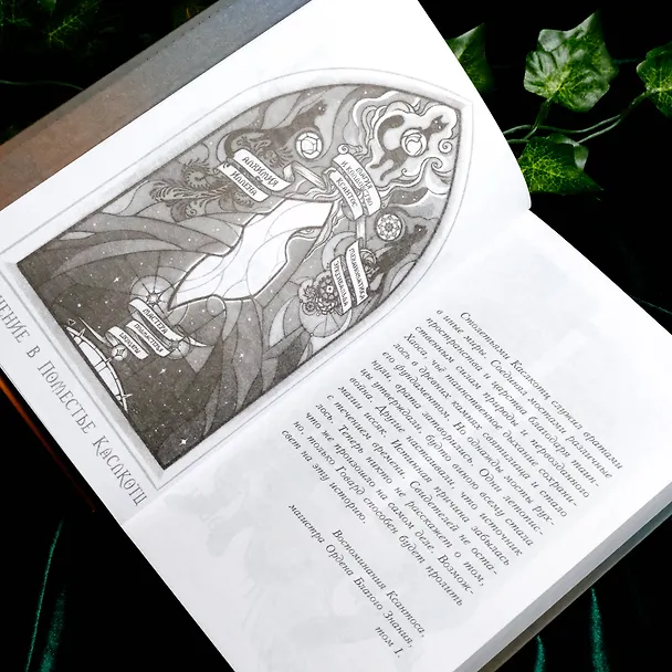 Книга Поместье Каслкотц. Иномирье просыпается (Ален Т. Пюиссегюр) — 16