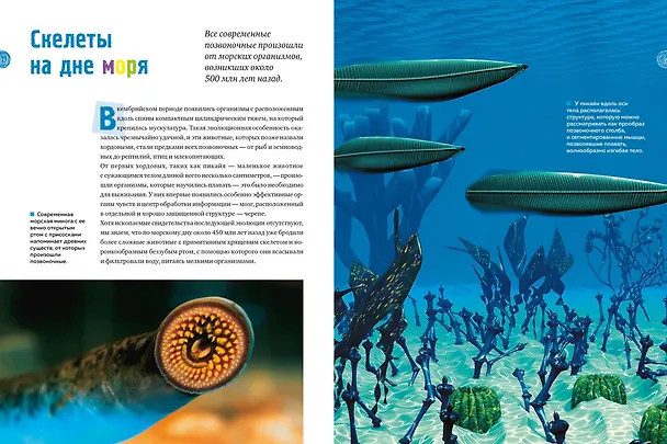 Книга Тайны морей и океанов. Большая иллюстрированная энциклопедия (Франческо Мило) — 19