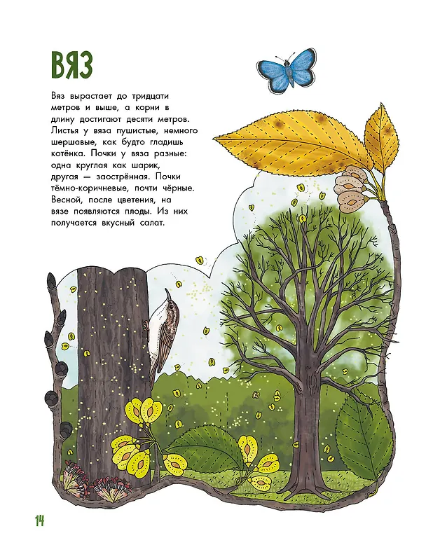 Книга Деревья (Эмма Янссон) — 7