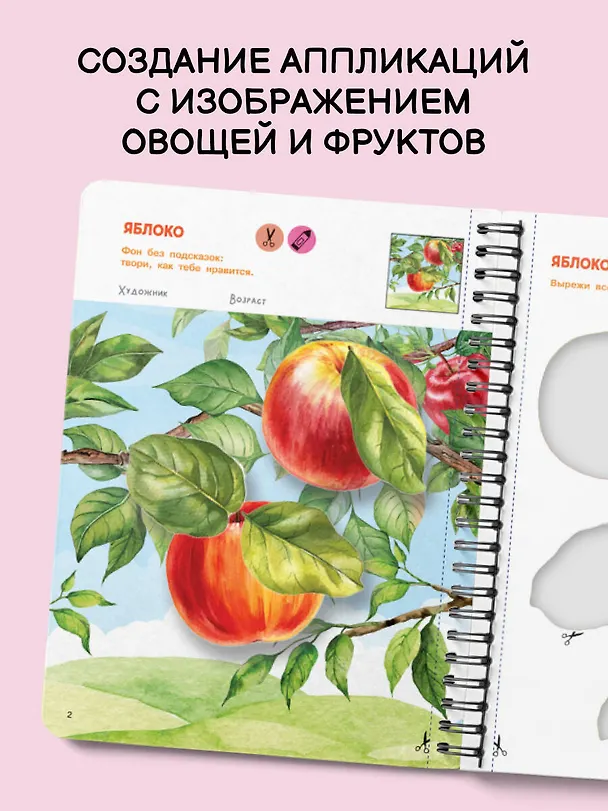 Книга Вырезай и клей. Овощи и фрукты (Валентина Дмитриева) — 5