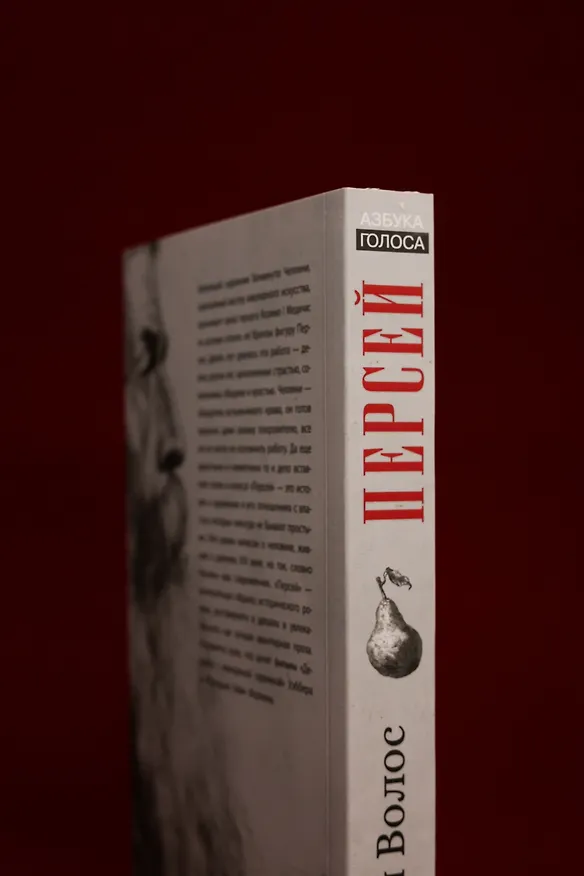 Книга Персей (Андрей Волос) — 10