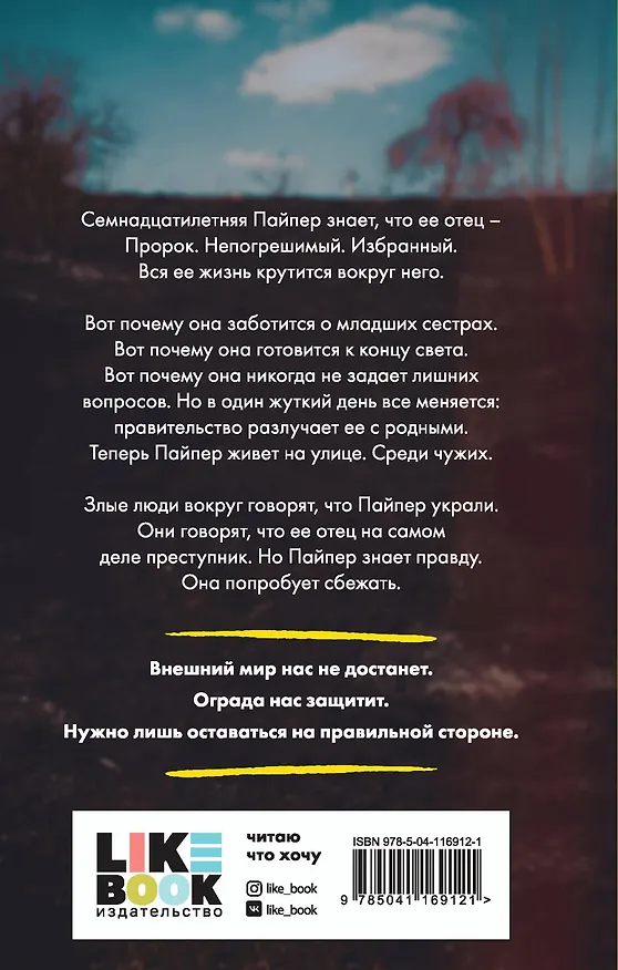 Книга Дочь лжеца (Меган Кули Петерсон) — 2