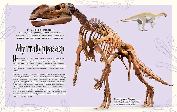 Книга Динозавры и другие доисторические животные. Энциклопедия (Анусия Чинсами-Тюран) — 10