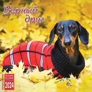 Календарь 2024г 300*300 "Верный друг" настенный, на скрепке 3000868
