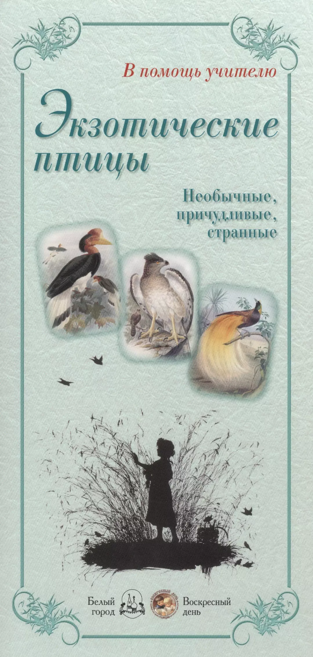 Экзотические птицы. Необычные, причудливые, странные. Блестящий кетцаль. Бородач-ягнятник. Великолепный фрегат. Венуеносный журавль. Гарпия. Грифовая цесарка…