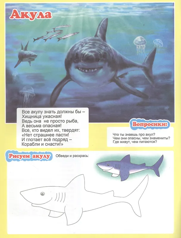 Книга Кто живет в море? Для детей 4-6 лет () — 3