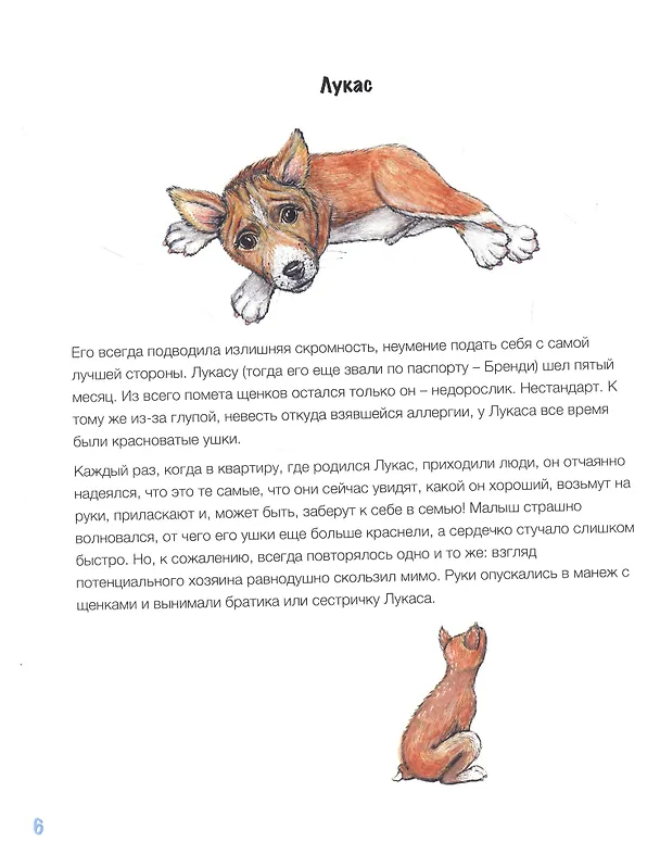 Книга Сказки для собачников и не только (Ольга Акопян) — 3